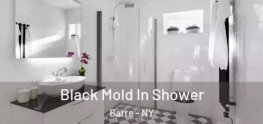  Black Mold In Shower Barre - NY