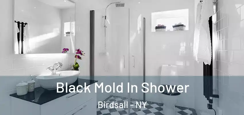  Black Mold In Shower Birdsall - NY