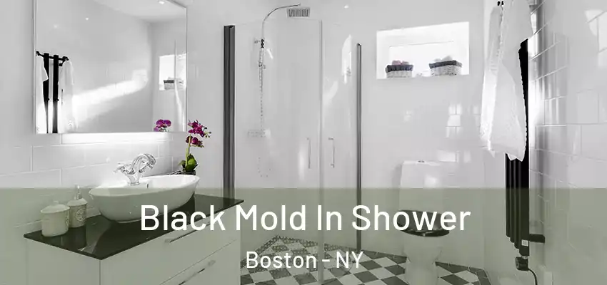  Black Mold In Shower Boston - NY