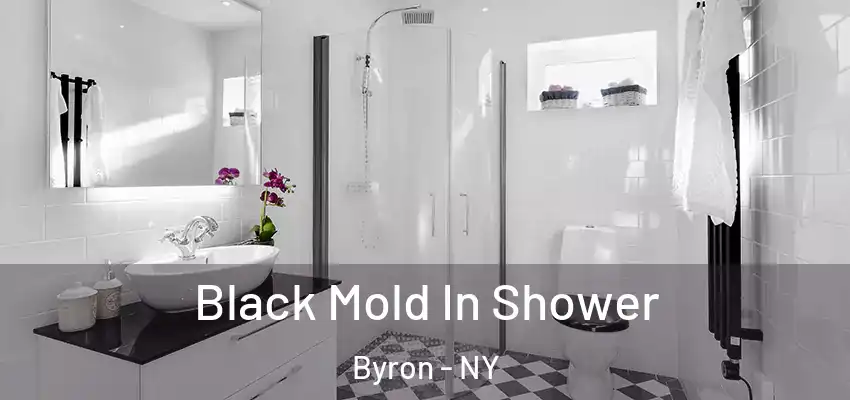  Black Mold In Shower Byron - NY