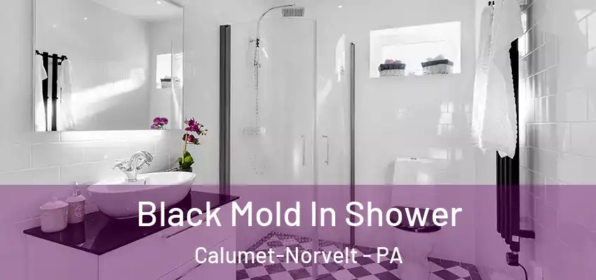  Black Mold In Shower Calumet-Norvelt - PA