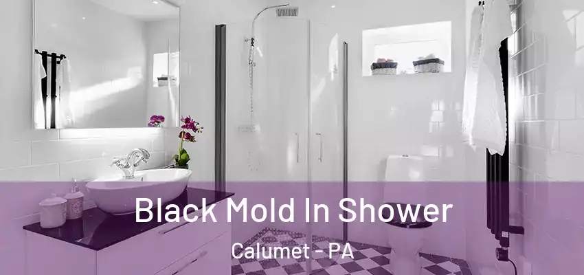  Black Mold In Shower Calumet - PA