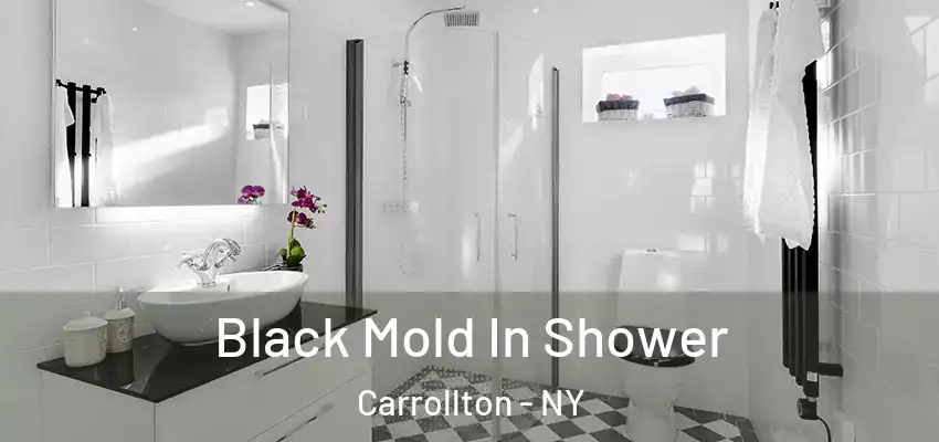  Black Mold In Shower Carrollton - NY