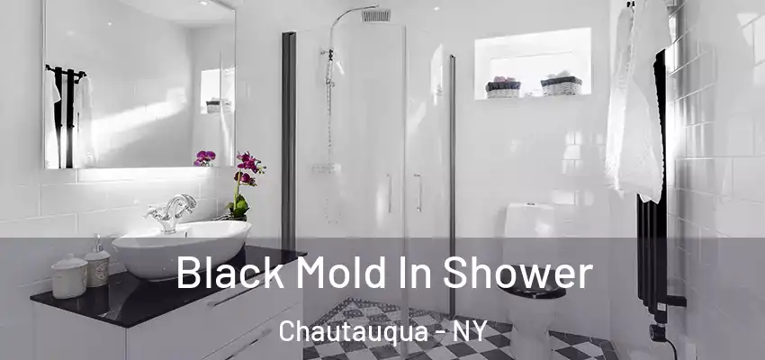  Black Mold In Shower Chautauqua - NY