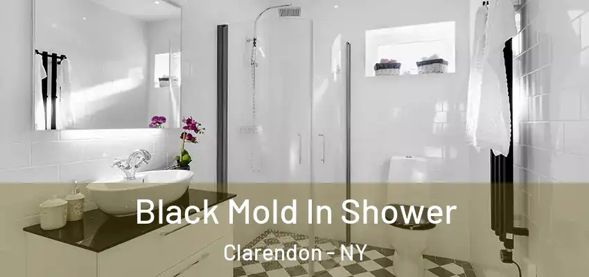  Black Mold In Shower Clarendon - NY