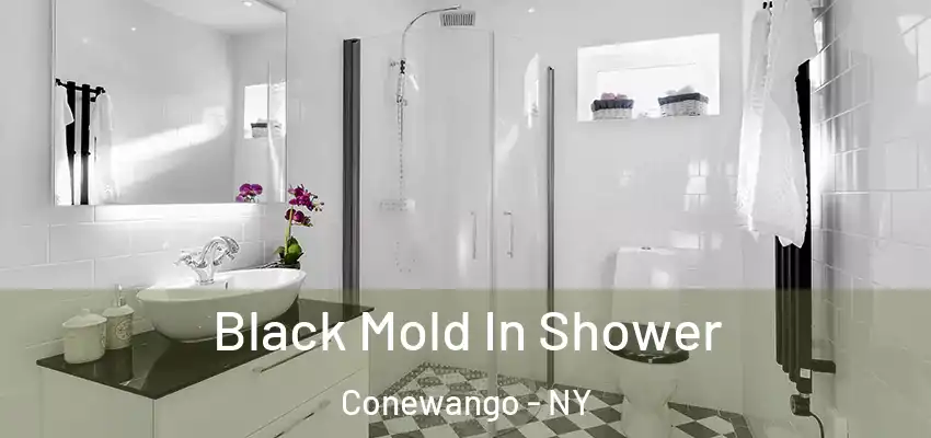  Black Mold In Shower Conewango - NY