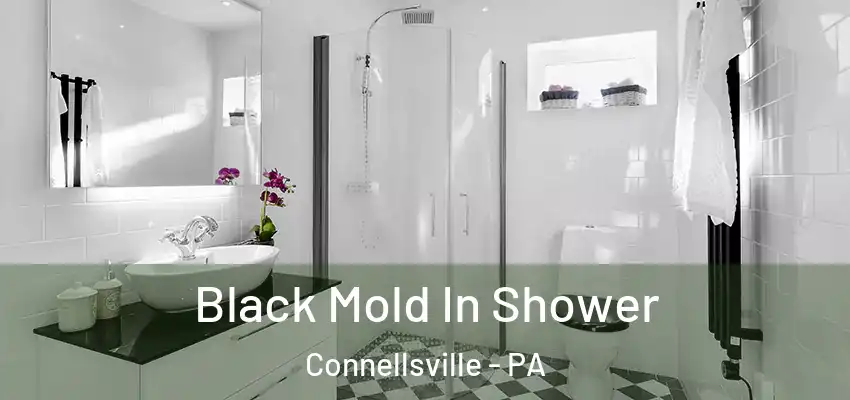  Black Mold In Shower Connellsville - PA