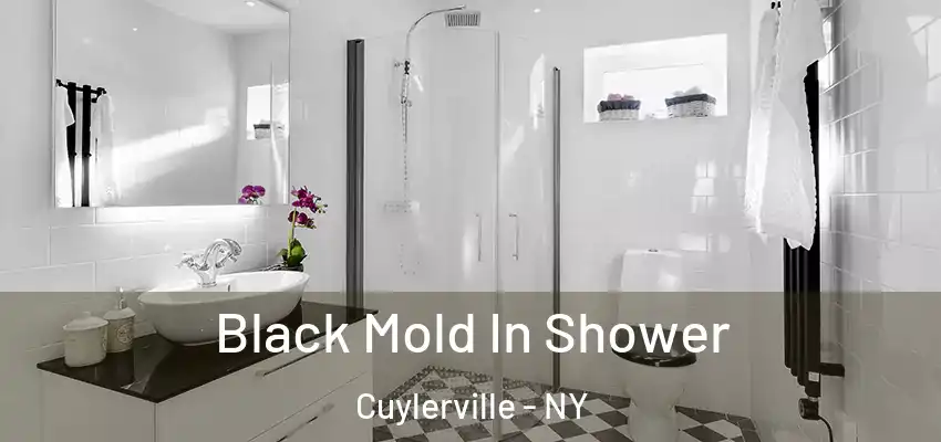  Black Mold In Shower Cuylerville - NY