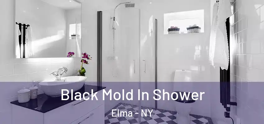  Black Mold In Shower Elma - NY