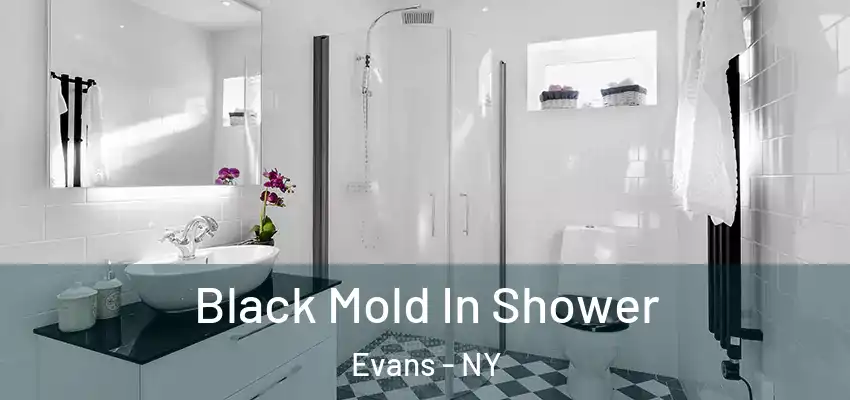  Black Mold In Shower Evans - NY