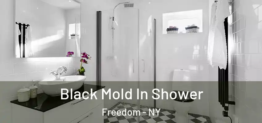  Black Mold In Shower Freedom - NY