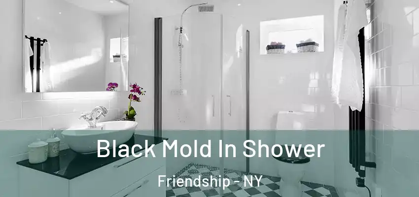  Black Mold In Shower Friendship - NY