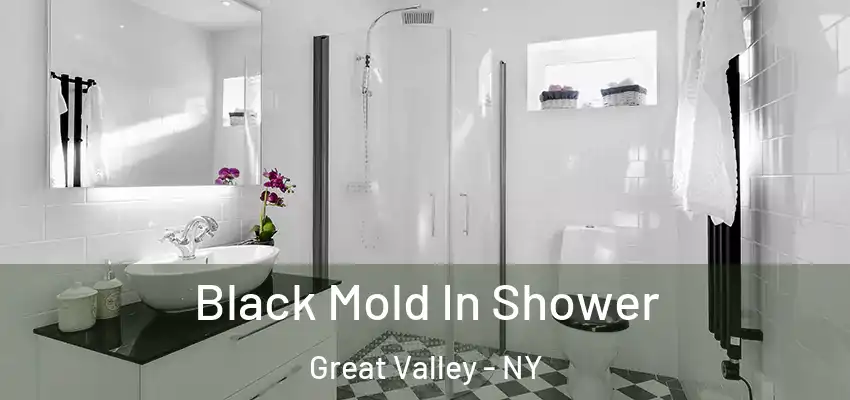  Black Mold In Shower Great Valley - NY
