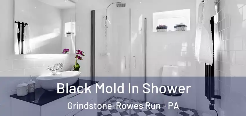  Black Mold In Shower Grindstone-Rowes Run - PA