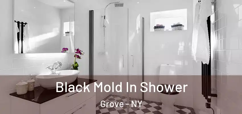  Black Mold In Shower Grove - NY