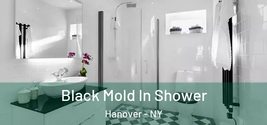  Black Mold In Shower Hanover - NY