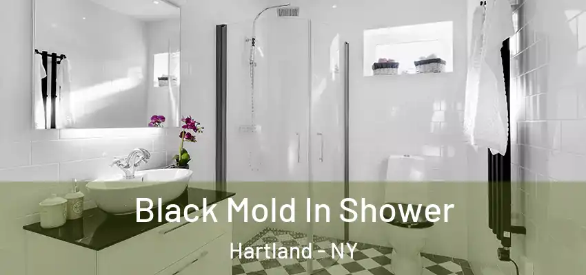  Black Mold In Shower Hartland - NY
