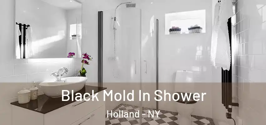  Black Mold In Shower Holland - NY