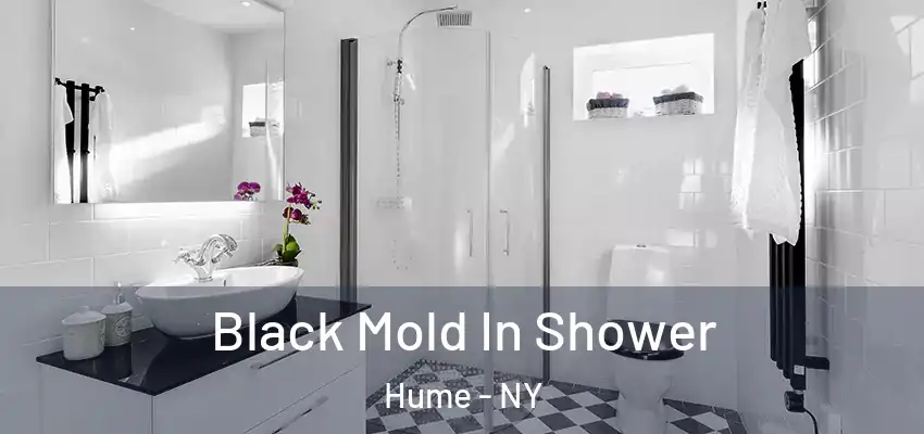  Black Mold In Shower Hume - NY