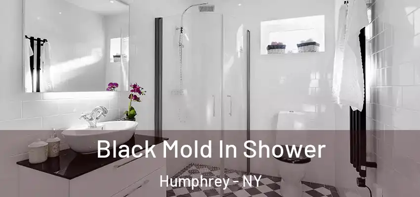  Black Mold In Shower Humphrey - NY