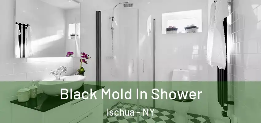  Black Mold In Shower Ischua - NY