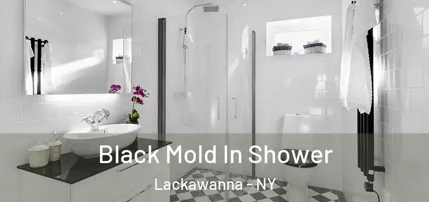  Black Mold In Shower Lackawanna - NY