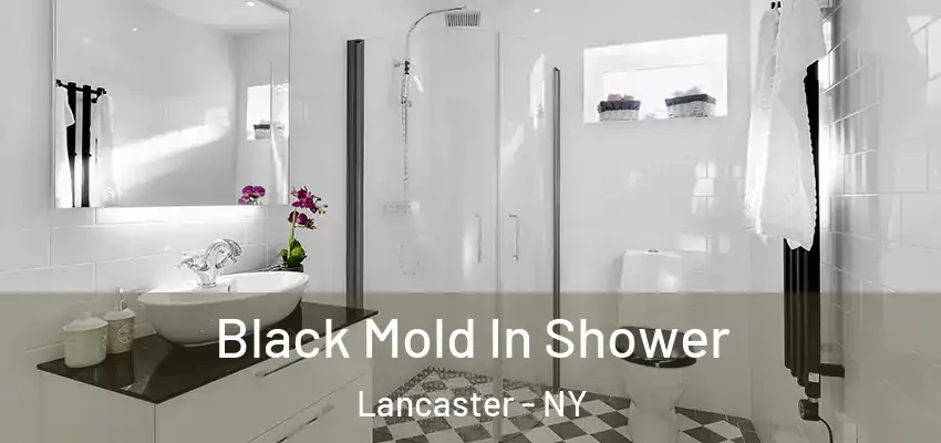  Black Mold In Shower Lancaster - NY