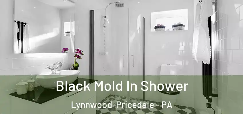  Black Mold In Shower Lynnwood-Pricedale - PA