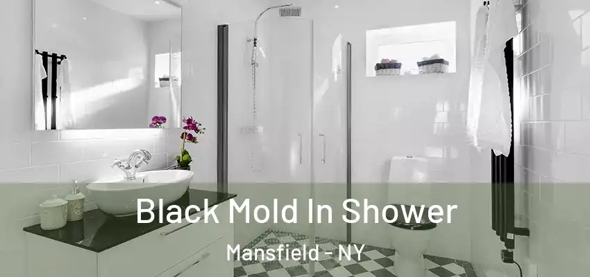  Black Mold In Shower Mansfield - NY