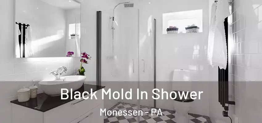  Black Mold In Shower Monessen - PA