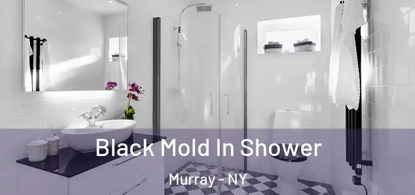  Black Mold In Shower Murray - NY
