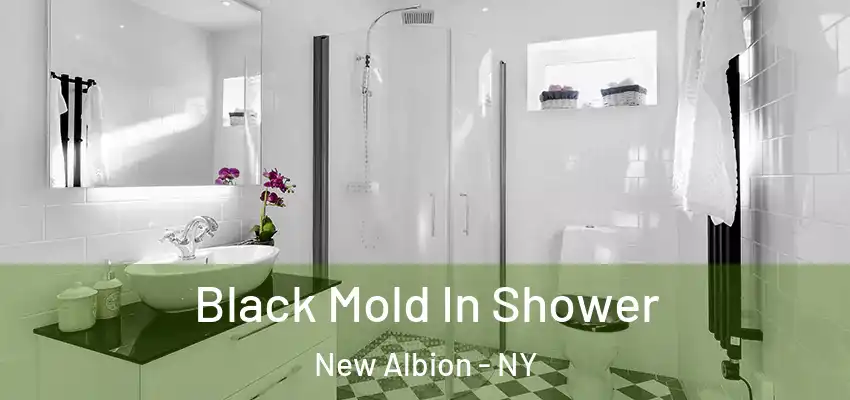  Black Mold In Shower New Albion - NY