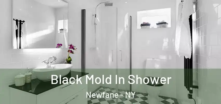  Black Mold In Shower Newfane - NY