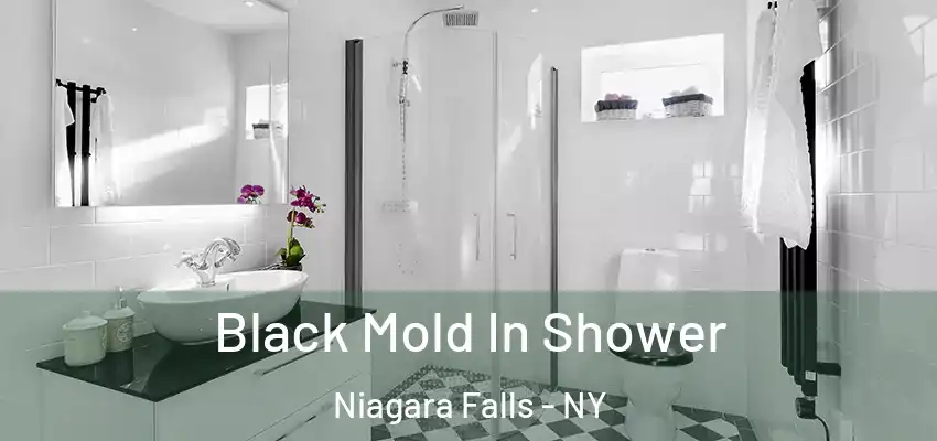  Black Mold In Shower Niagara Falls - NY