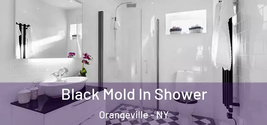  Black Mold In Shower Orangeville - NY