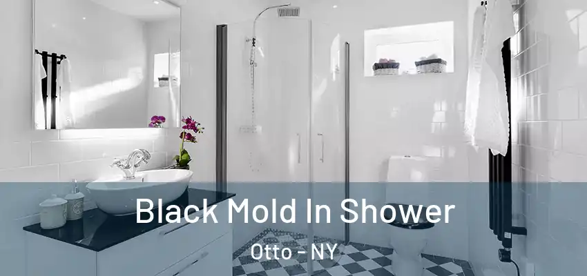  Black Mold In Shower Otto - NY