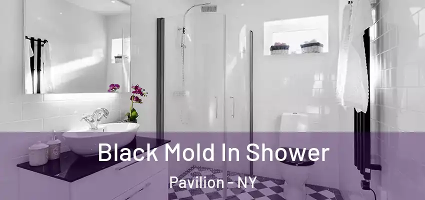  Black Mold In Shower Pavilion - NY