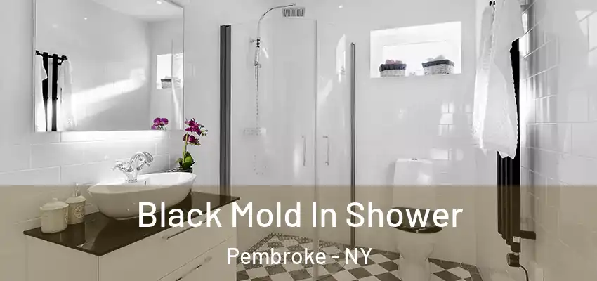  Black Mold In Shower Pembroke - NY