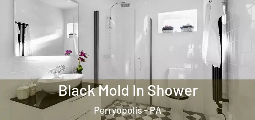  Black Mold In Shower Perryopolis - PA