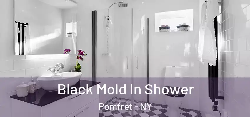  Black Mold In Shower Pomfret - NY