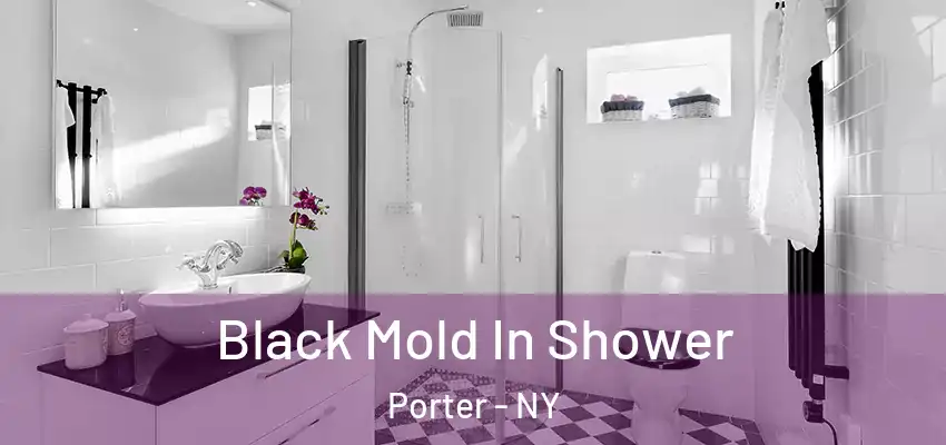  Black Mold In Shower Porter - NY