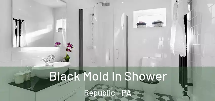  Black Mold In Shower Republic - PA