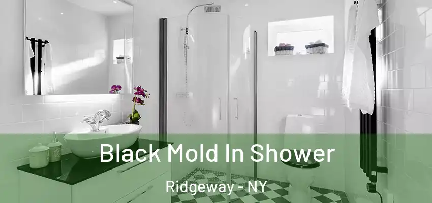  Black Mold In Shower Ridgeway - NY