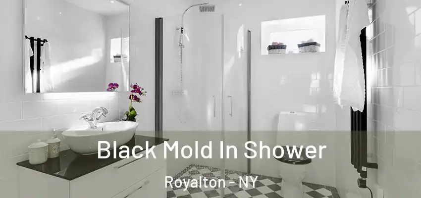  Black Mold In Shower Royalton - NY