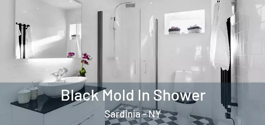  Black Mold In Shower Sardinia - NY