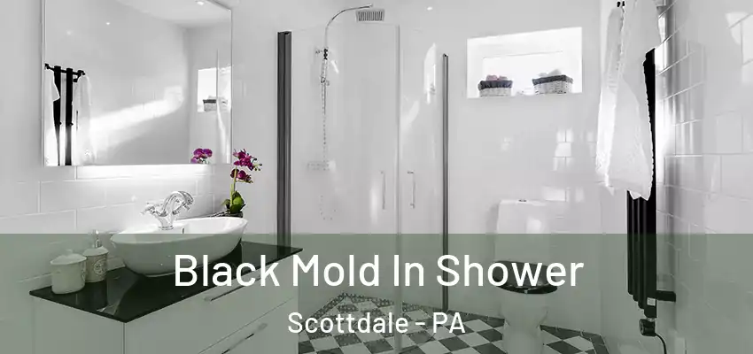  Black Mold In Shower Scottdale - PA