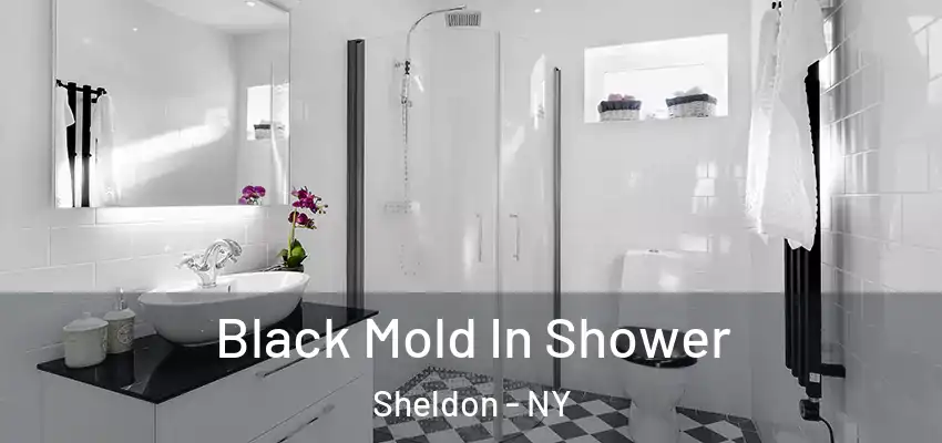 Black Mold In Shower Sheldon - NY