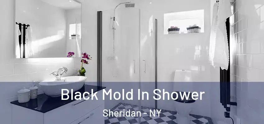  Black Mold In Shower Sheridan - NY
