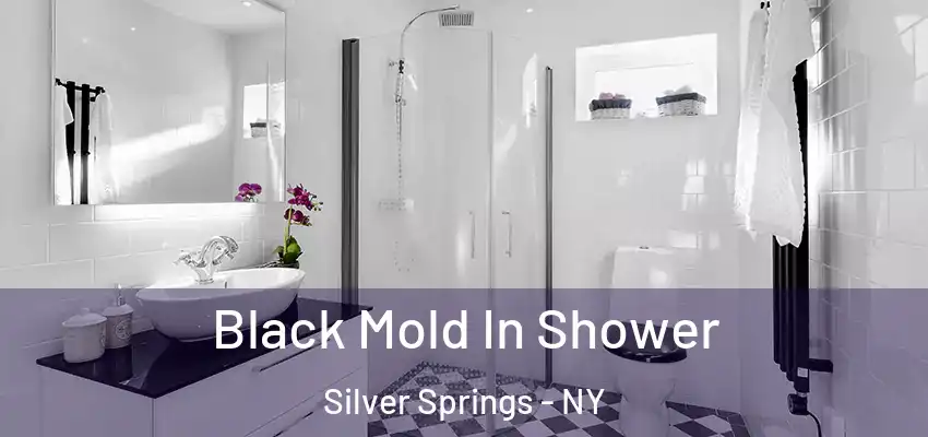  Black Mold In Shower Silver Springs - NY