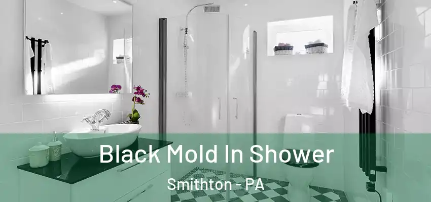 Black Mold In Shower Smithton - PA